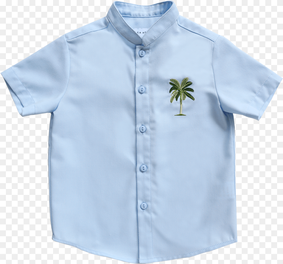 Polo Shirt Free Png