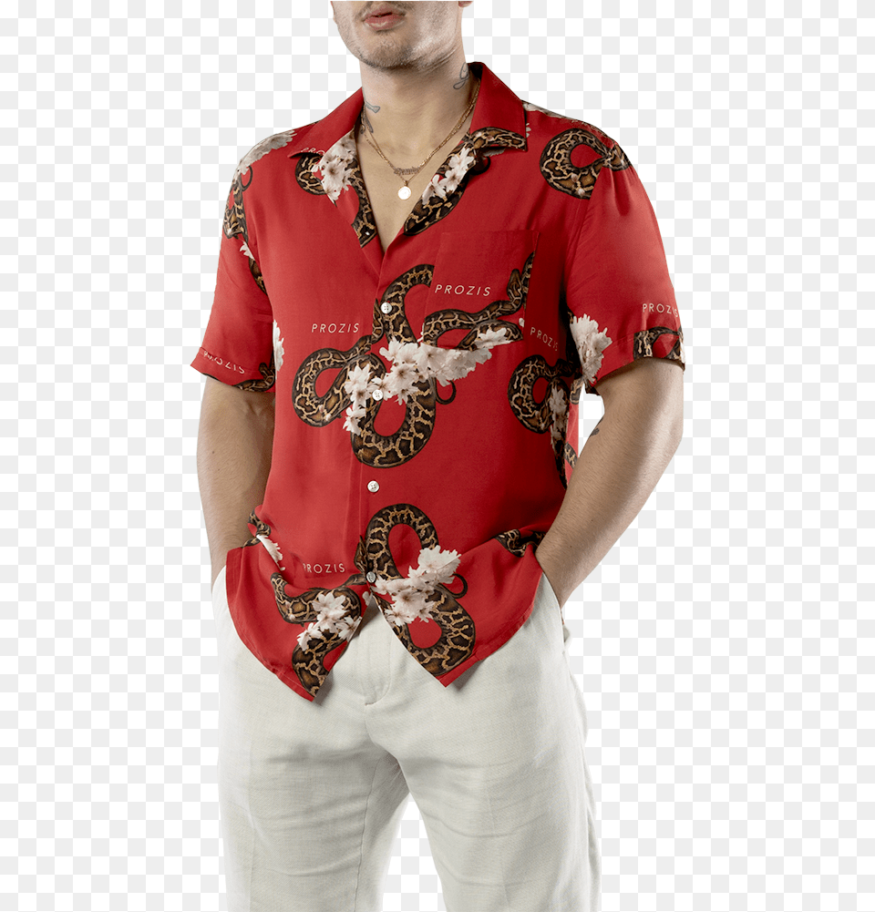 Polo Shirt, Blouse, Clothing, Pattern, Person Free Png