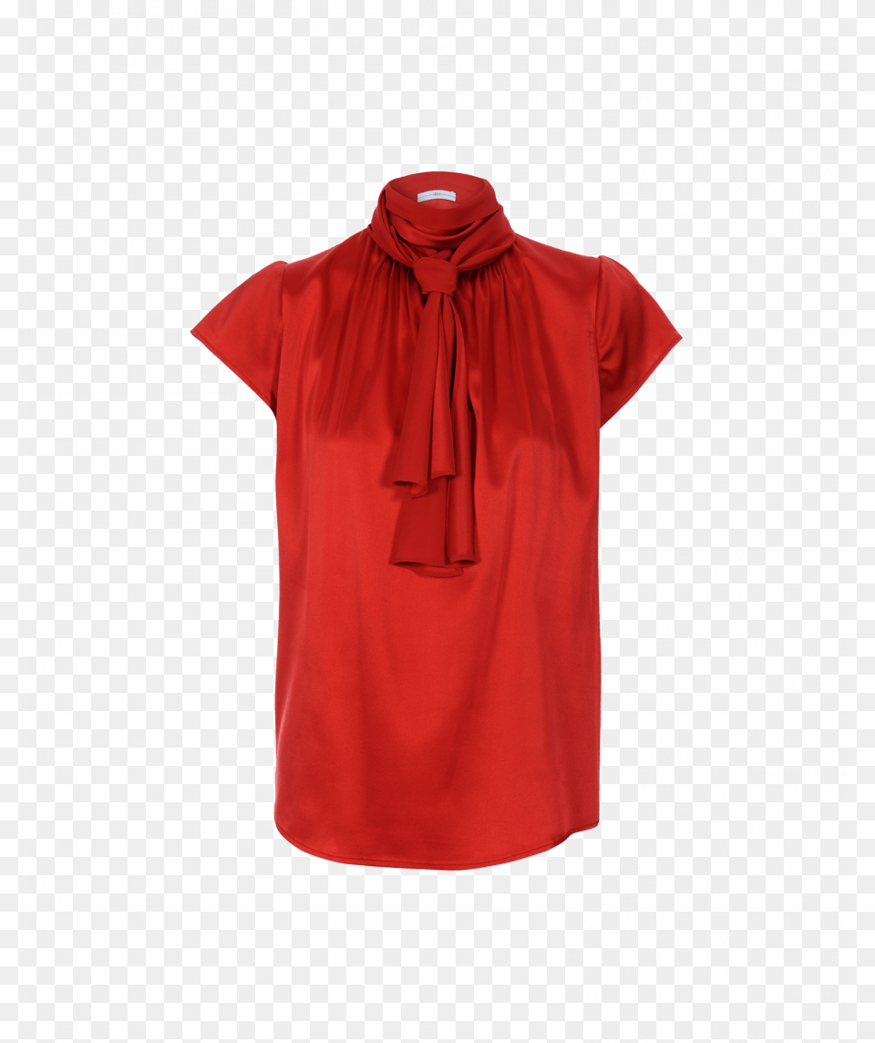 Polo Shirt, Blouse, Clothing, T-shirt Free Png Download