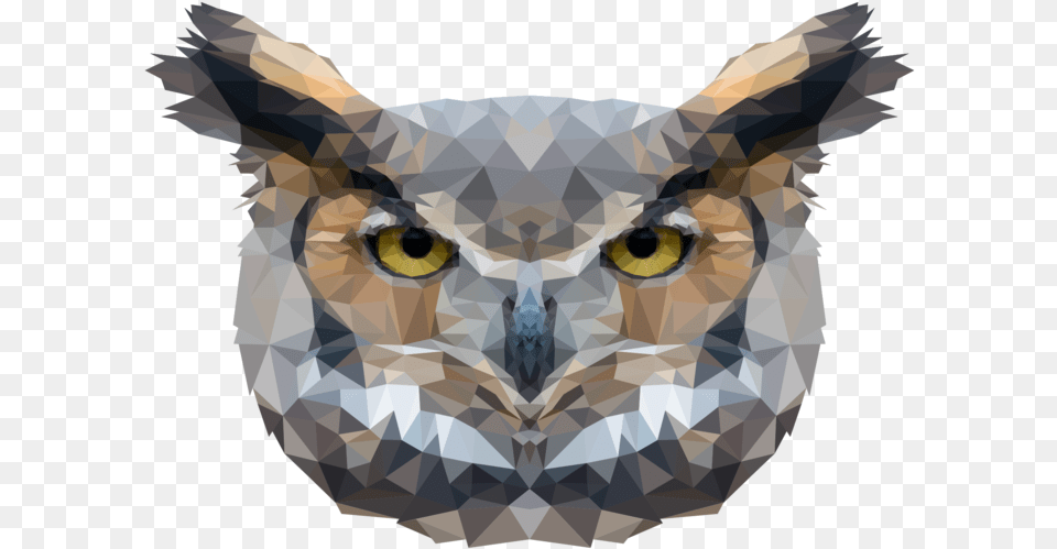 Polygon Owl Bird Owl Animal Wild Vector Polygon Owl Polygon, Person Free Transparent Png