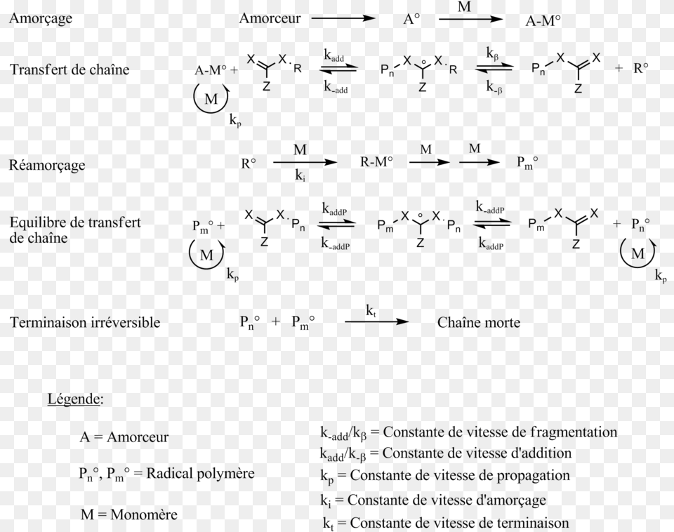 Polymrisation Radicalaire Controle, Text, Document, Mathematical Equation Png Image