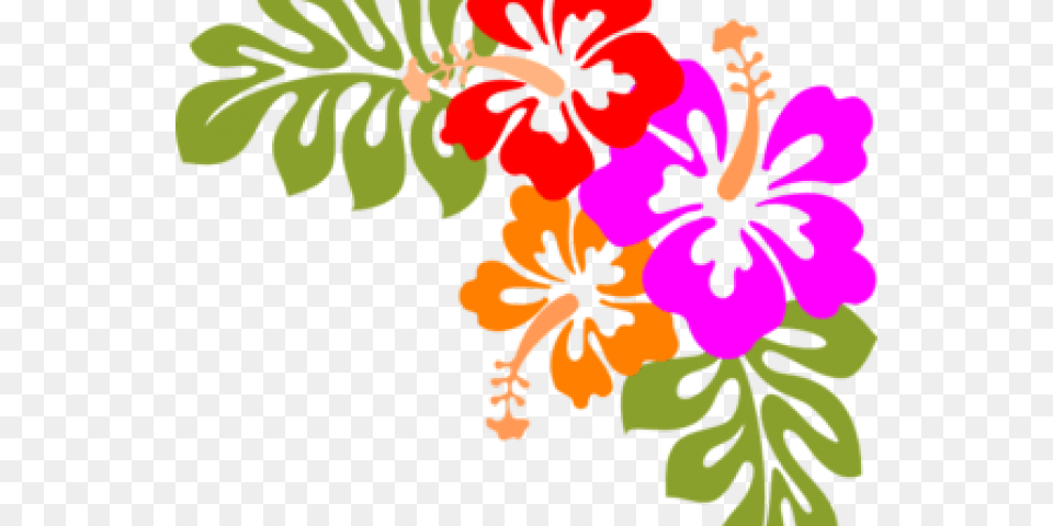 Polynesia Clipart Hawaii Flower Tropical Hawaiian Flowers Clip Art, Hibiscus, Plant, Herbal, Herbs Free Transparent Png