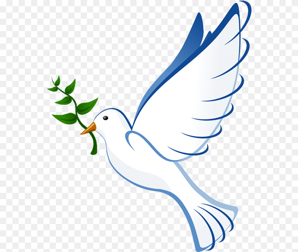 Pomba Branca Clipart Black And White Download Pomba Holy Spirit, Animal, Bird, Pigeon, Dove Png Image