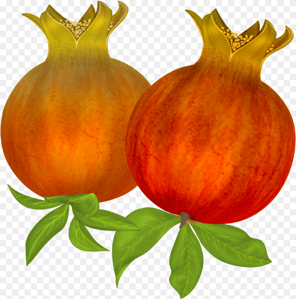 Pomegranate, Food, Fruit, Plant, Produce Free Png