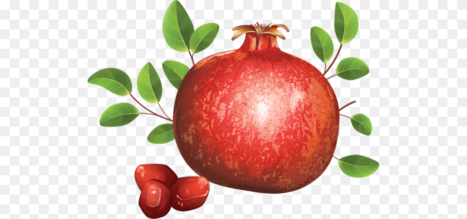 Pomegranate, Food, Fruit, Plant, Produce Free Png