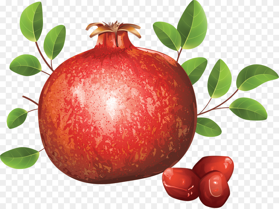 Pomegranate Free Transparent Png