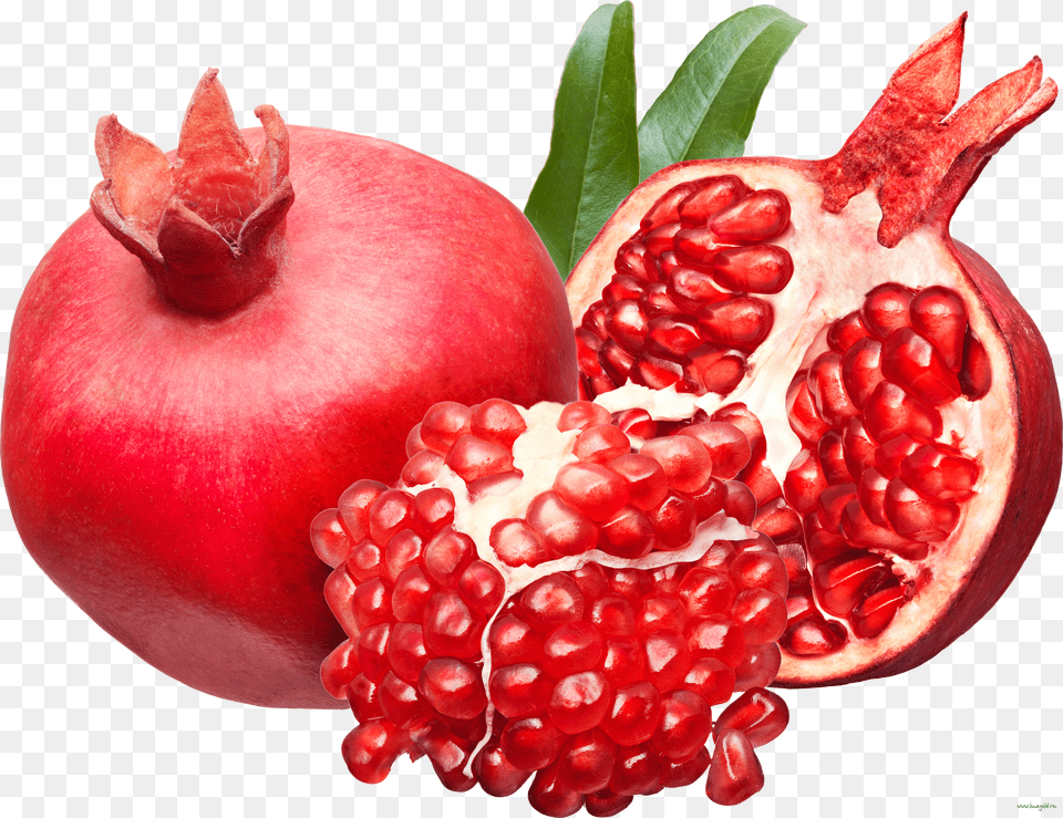 Pomegranate, Adult, Sleeve, Person, Long Sleeve Free Transparent Png