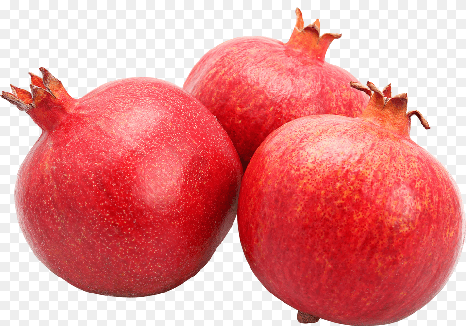 Pomegranate, Body Part, Hand, Person, Animal Png Image