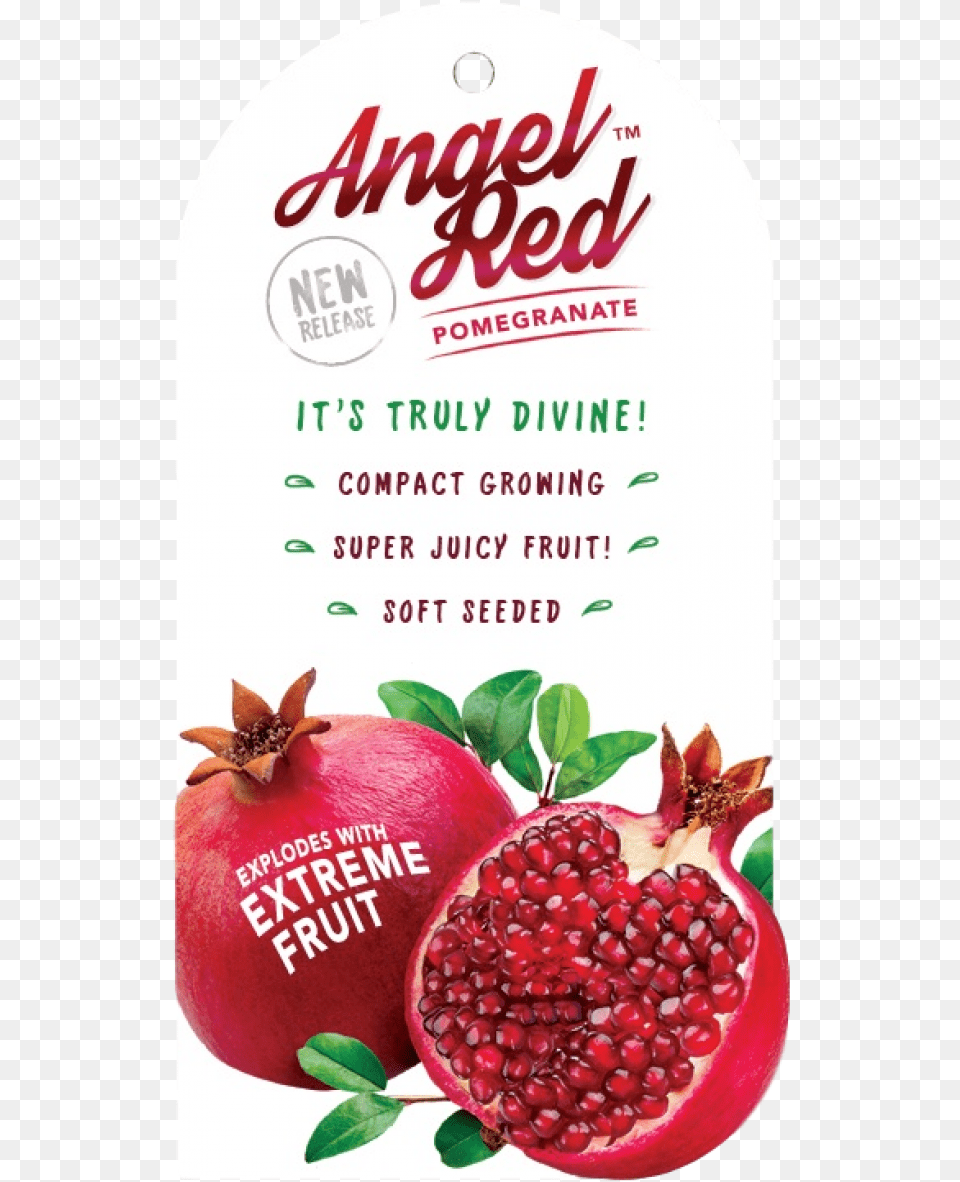 Pomegranate Angel Red Z Natural Foods Pomegranate Juice Powder Organic, Food, Fruit, Plant, Produce Png