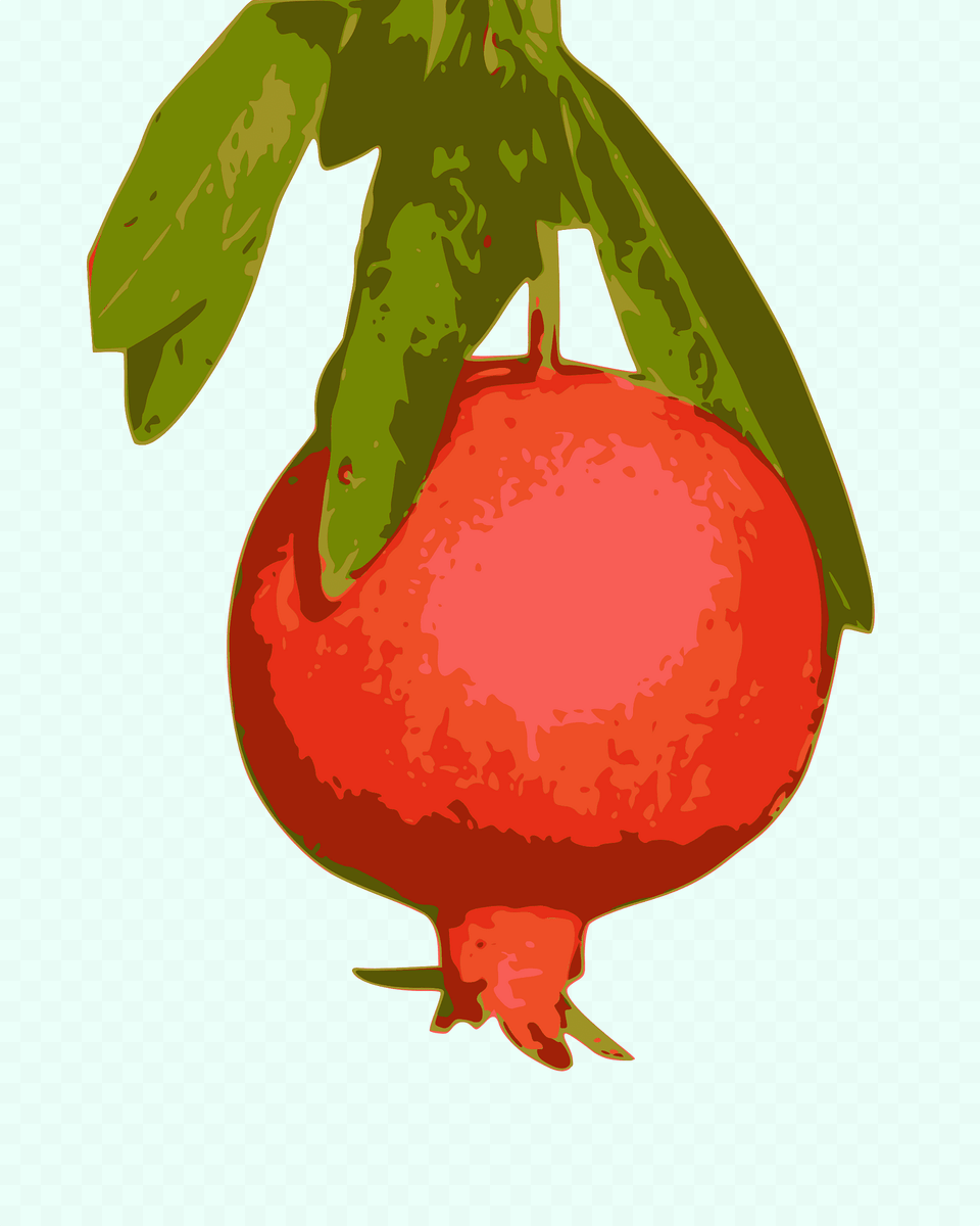Pomegranate Clipart, Food, Fruit, Plant, Produce Free Transparent Png
