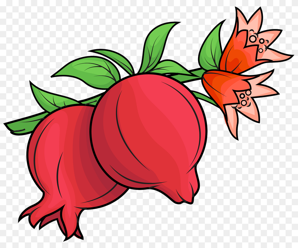 Pomegranate Clipart, Food, Fruit, Plant, Produce Free Png