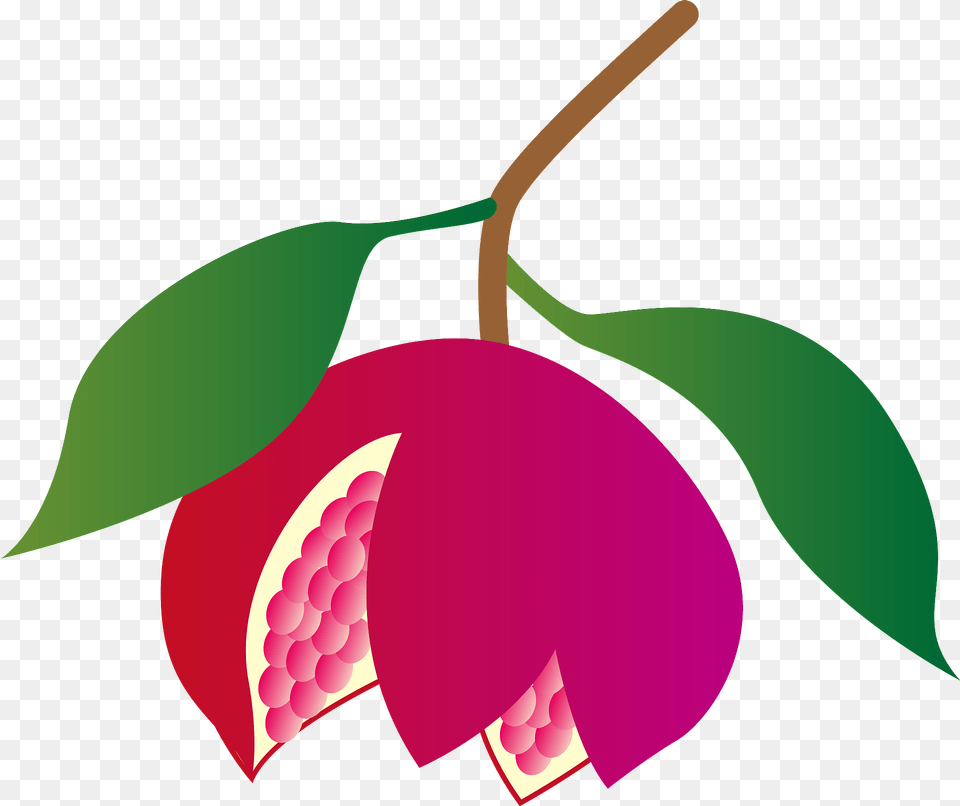 Pomegranate Clipart, Leaf, Plant, Produce, Food Free Png Download