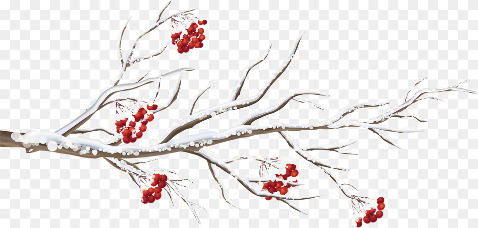Pomegranate Clipart Branch Picture Winter Tree Branch, Triangle Png Image