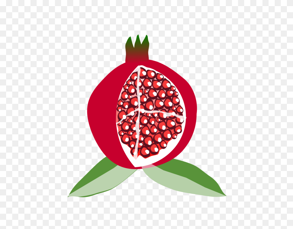 Pomegranate Computer Icons Fruit Download Tomato, Food, Plant, Produce, Animal Png Image