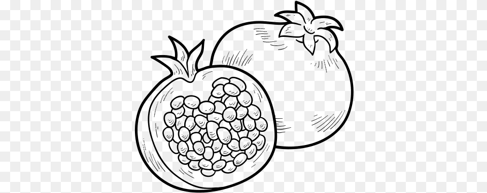 Pomegranate Drawing At Getdrawings Colouring Pictures Of Pomegranate, Gray Png Image