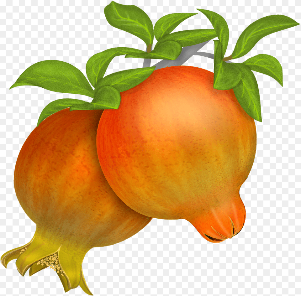 Pomegranate In Vector Clipart Pomegranate, Food, Fruit, Plant, Produce Free Png Download