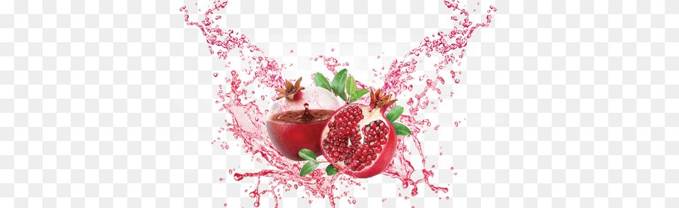 Pomegranate Juice Clip Black And White Stock Pomegranate, Food, Fruit, Plant, Produce Free Png Download