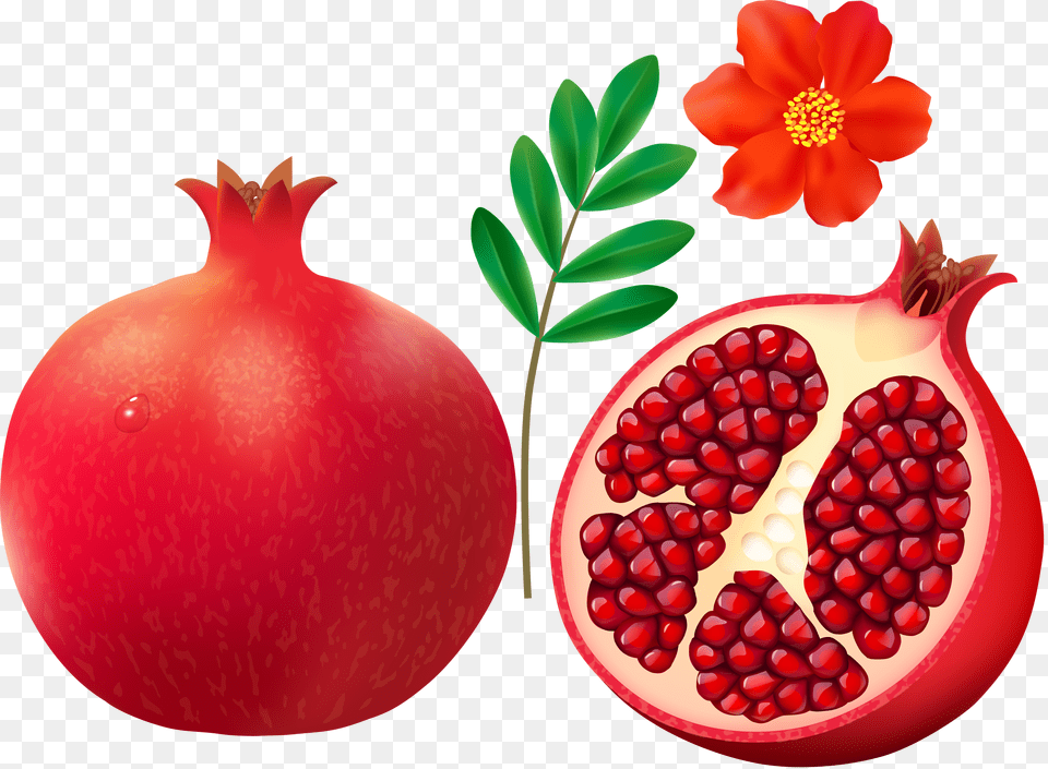 Pomegranate On White Background, Food, Fruit, Plant, Produce Png