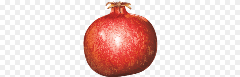 Pomegranate Promegranate, Produce, Food, Fruit, Plant Free Transparent Png