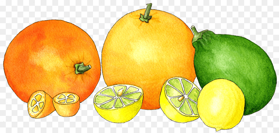 Pomelo, Citrus Fruit, Food, Fruit, Lemon Free Png Download