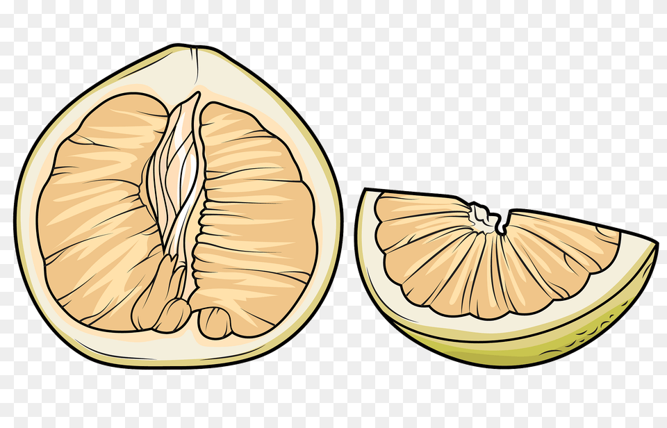 Pomelo Clipart, Citrus Fruit, Food, Fruit, Grapefruit Png Image