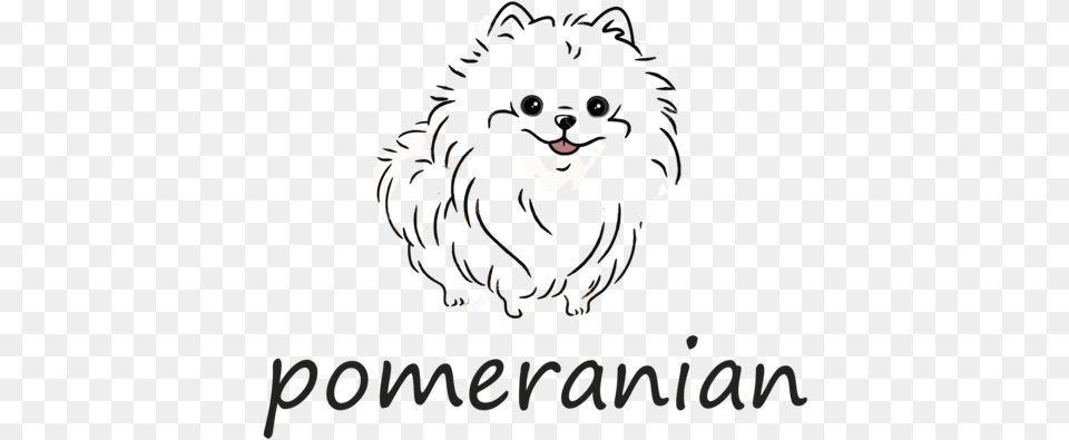 Pomeranian, Animal, Canine, Mammal, Pet Free Png