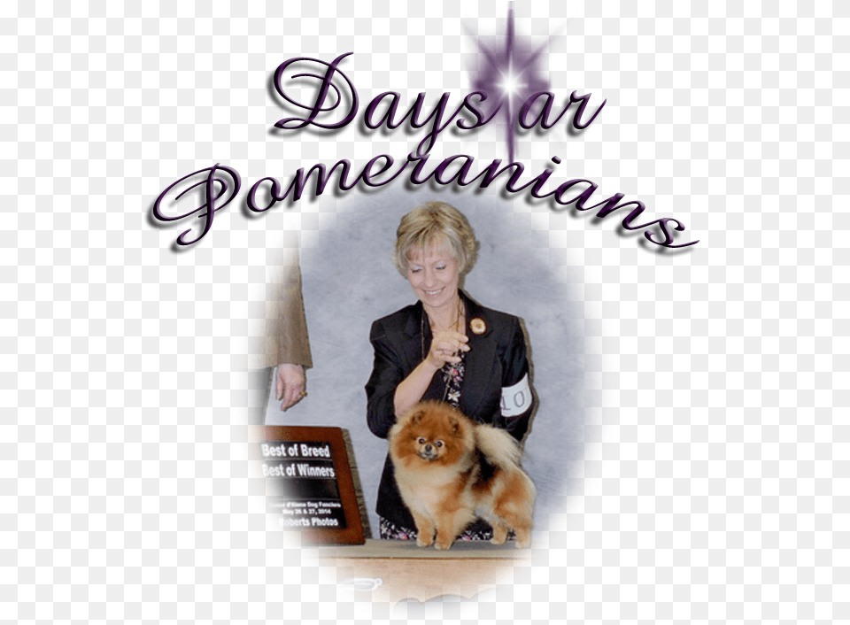 Pomeranian, Adult, Person, Female, Woman Free Png Download