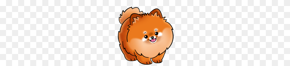 Pomeranian Dog, Animal, Pet, Canine, Mammal Free Png Download