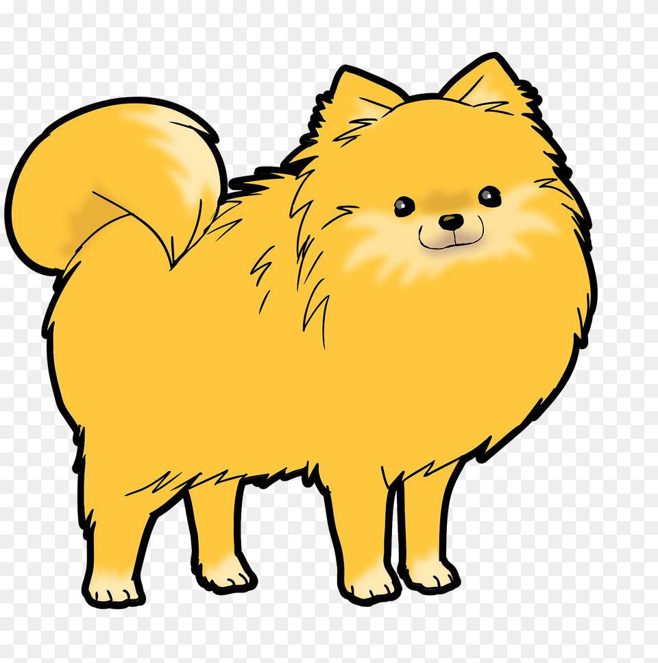 Pomeranian Dog Clipart, Animal, Canine, Mammal, Bear Free Transparent Png