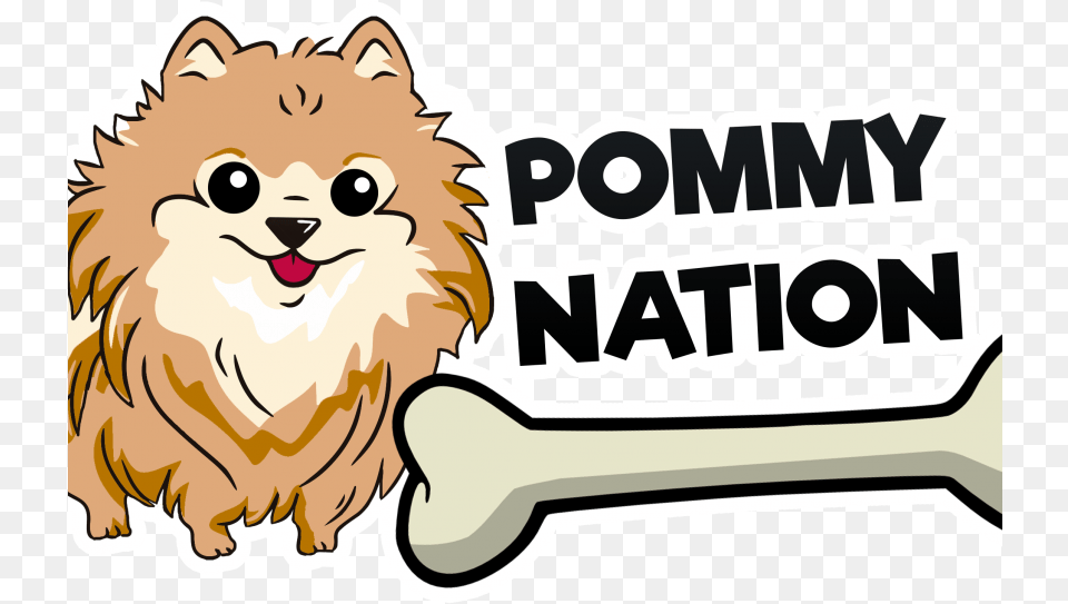 Pomeranian Download Cute Pomeranian Clipart, Sticker, Animal, Lion, Mammal Free Transparent Png