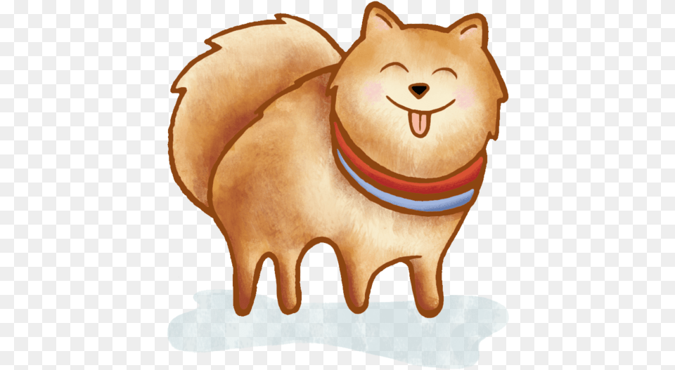Pomeranian Final, Baby, Person, Animal, Cat Png Image