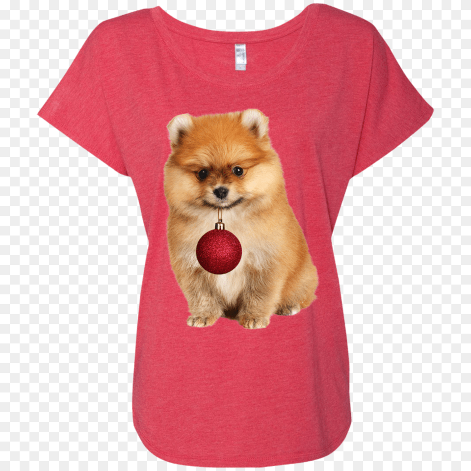 Pomeranian Puppy Ornaments Dolman Sleeve Patch Puppy, Clothing, T-shirt, Animal, Canine Png Image