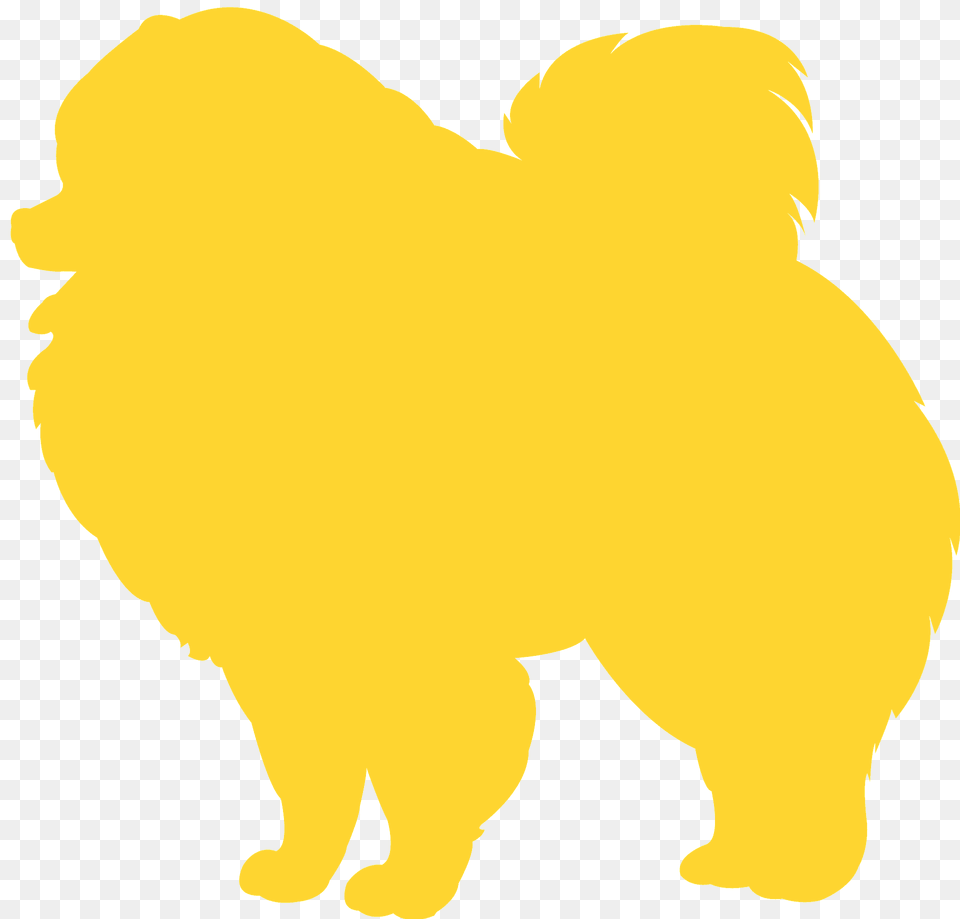 Pomeranian Silhouette, Animal, Pet, Bear, Mammal Free Transparent Png