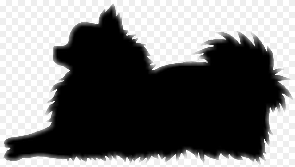 Pomeranian Silhouette Dog Pom, Stencil, Baby, Person Free Png