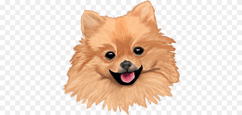 Pomeranian Tapestry Black Pomeranian Sticker, Animal, Canine, Dog, Mammal Png Image