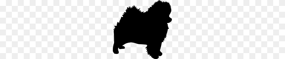 Pomeranian Temporary Tattoo Fun, Gray, Lighting Png Image