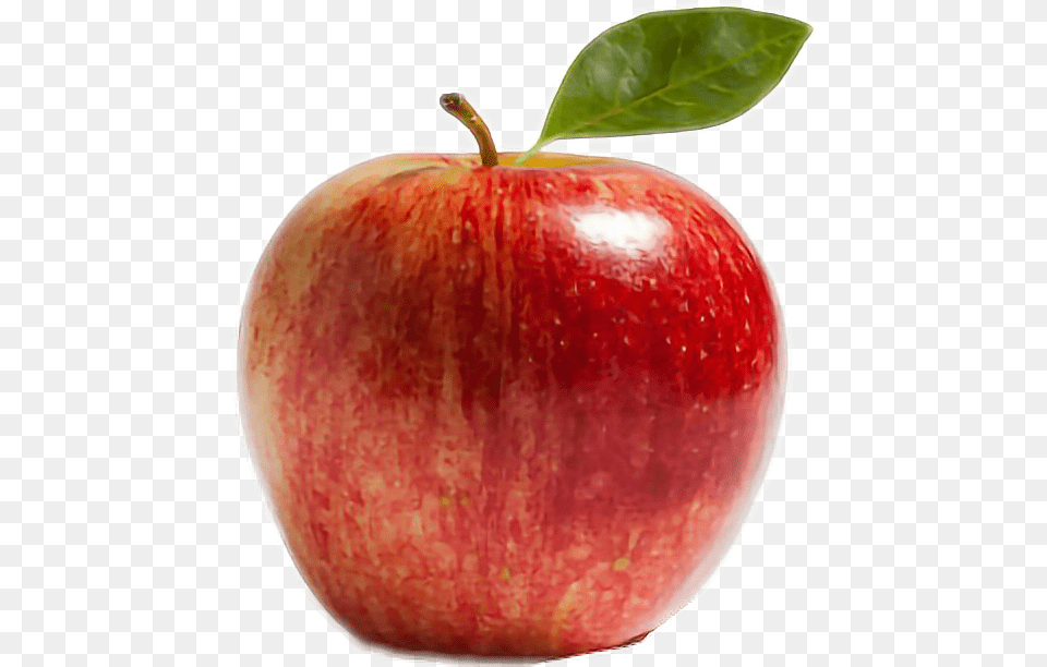 Pomme Apple Manzana Rouge Red Rojo Apple Kinnaur, Food, Fruit, Plant, Produce Png Image