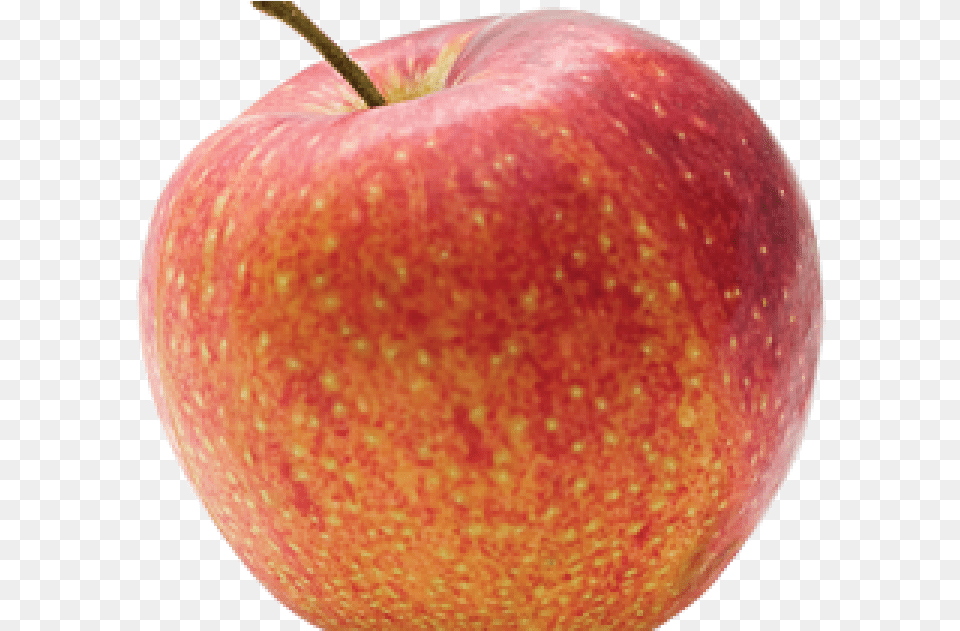Pomme Bicolore, Apple, Food, Fruit, Plant Free Png Download
