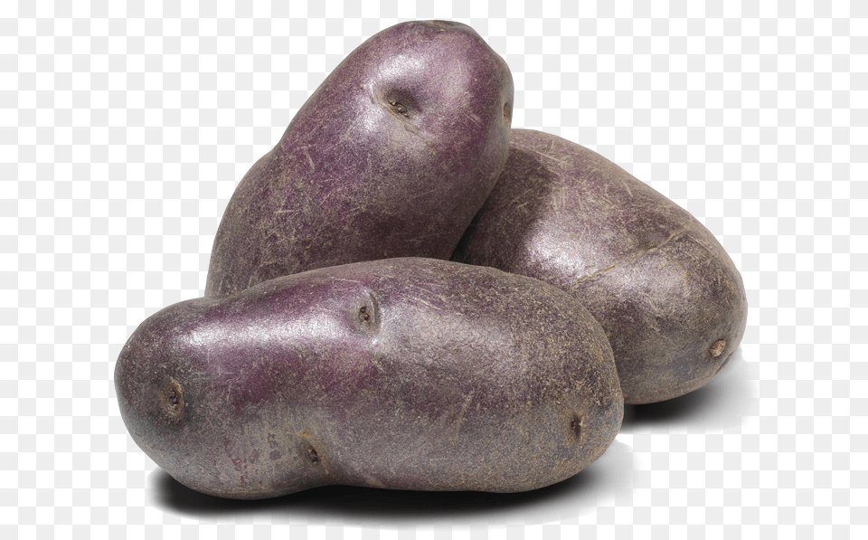 Pommes De Terre Violettes Fingerling Potato, Food, Plant, Produce, Vegetable Png Image