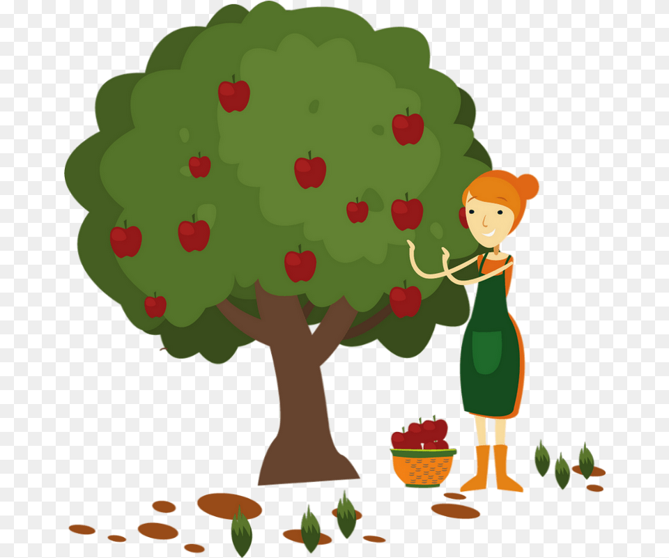 Pommier Dessin Tube Fruit Pomme Apple Tree Illustration, Baby, Person, Plant, Face Png Image