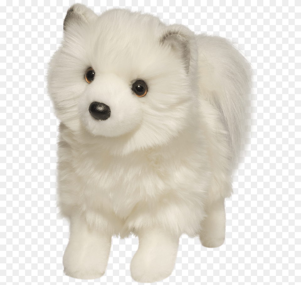 Pomsky Doll, Animal, Canine, Dog, Mammal Free Png Download