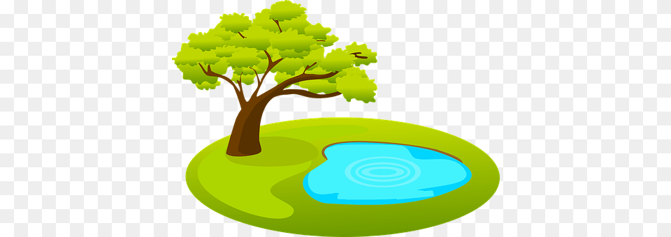 Pond Plant, Tree, Outdoors, Nature Free Png