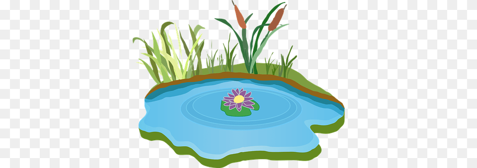 Pond Art, Outdoors, Nature, Graphics Free Png