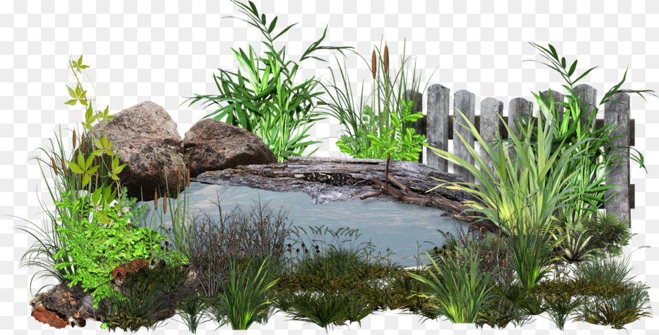Pond, Nature, Outdoors, Water, Plant Png Image