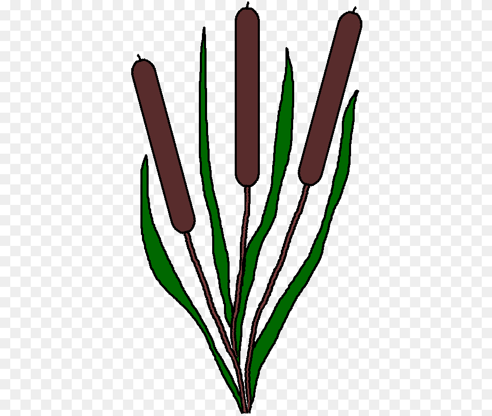 Pond Clip Art, Herbal, Herbs, Plant, Smoke Pipe Free Transparent Png