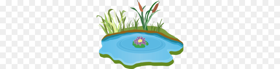 Pond Clip Art, Outdoors, Water, Nature, Plant Png Image