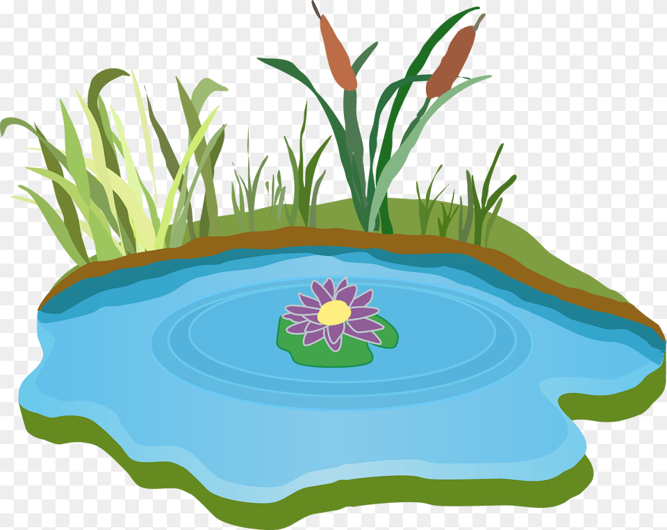 Pond Clipart, Water, Outdoors, Nature, Graphics Free Transparent Png