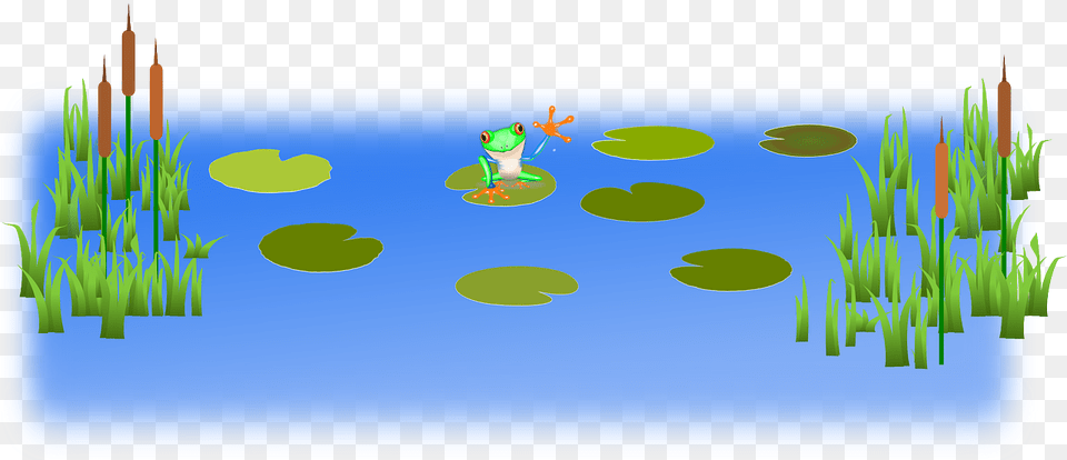 Pond Clipart Swamp, Nature, Water, Outdoors, Land Png