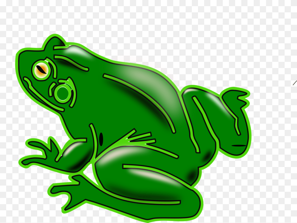 Pond Frogs Amphibian Vertebrate American Green Tree Frog Free, Animal, Wildlife, Tree Frog Png Image