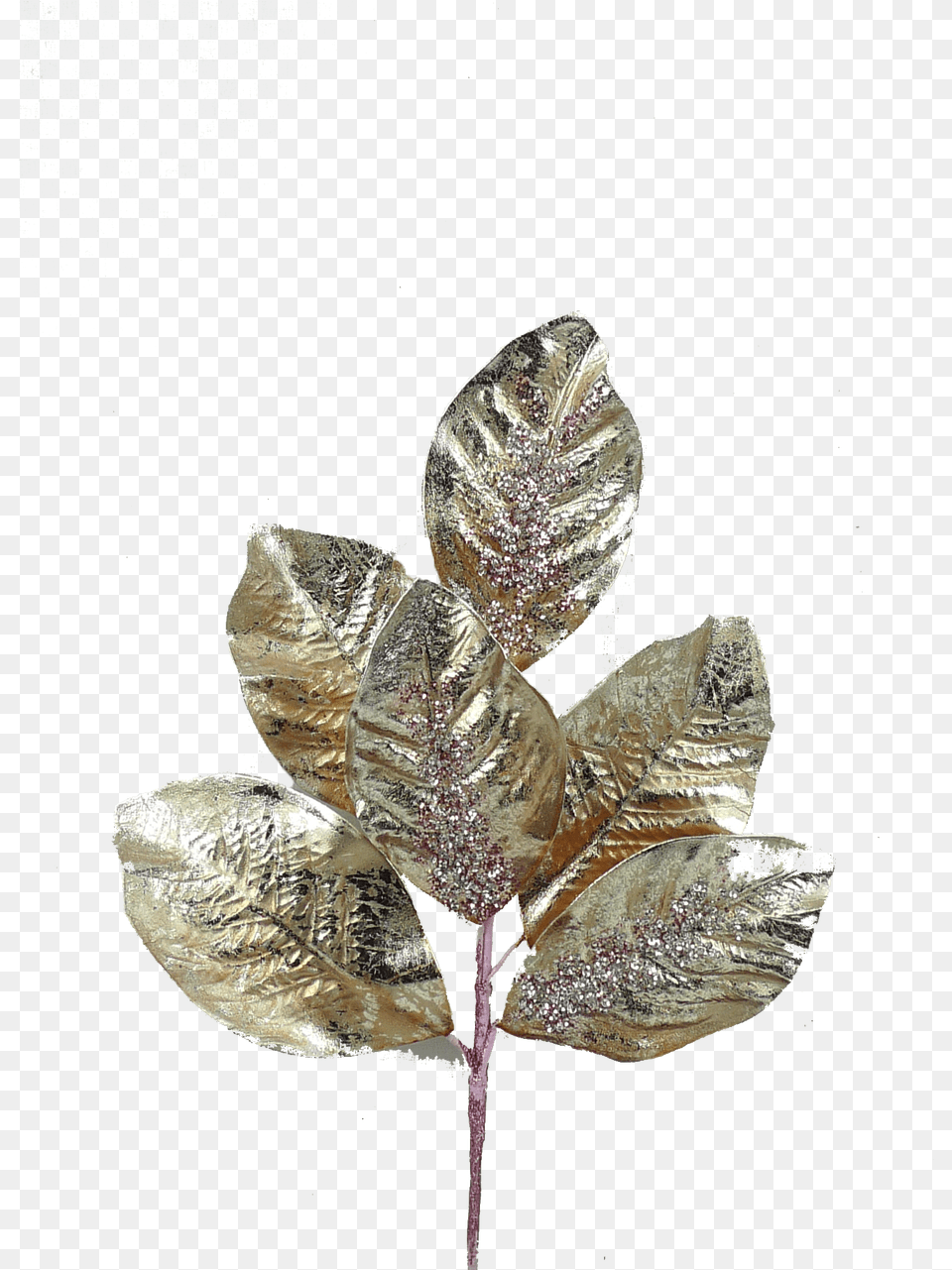 Pond Pine, Leaf, Plant, Accessories, Aluminium Png Image